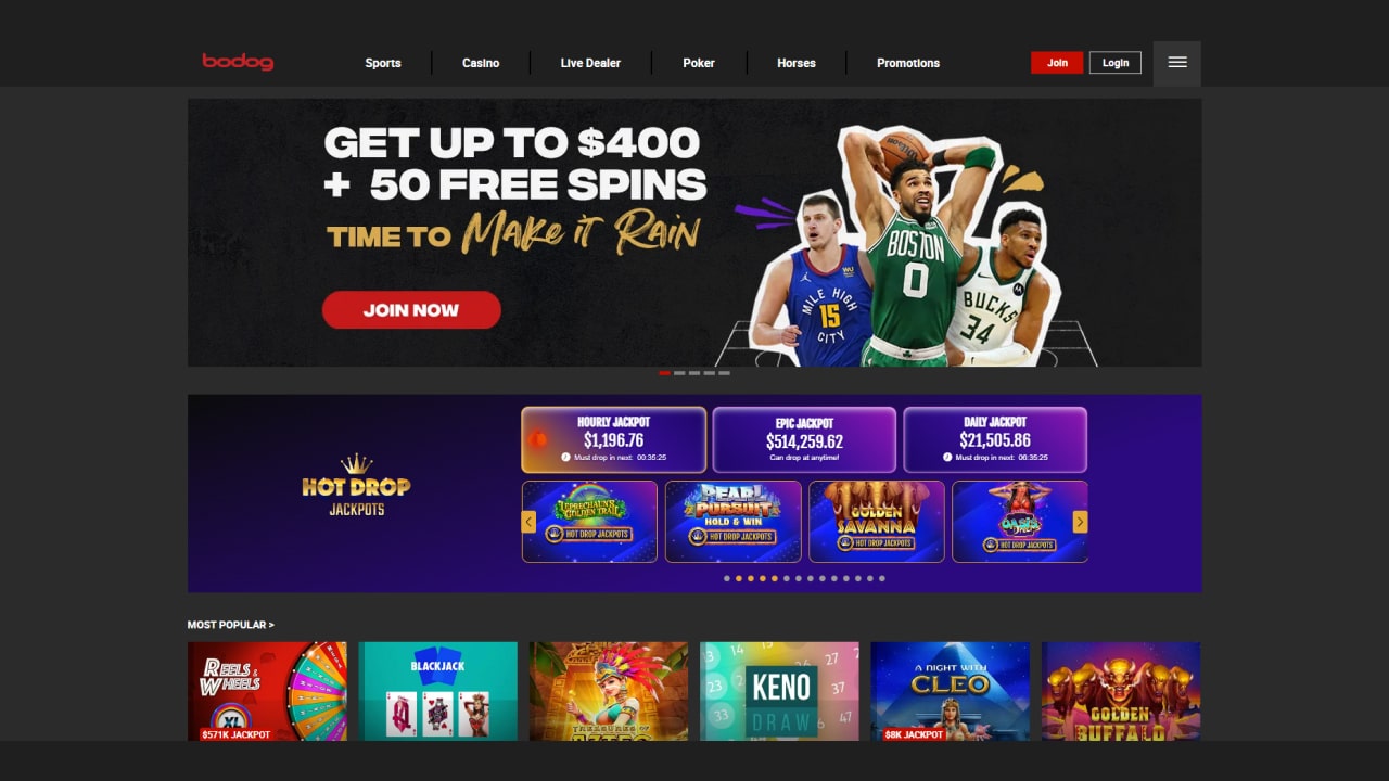 Bodog casino