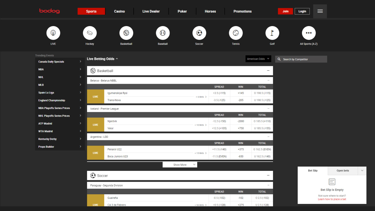 Bodog sports betting