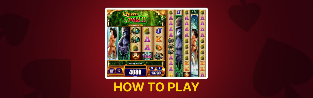 Play queen of the wild slot