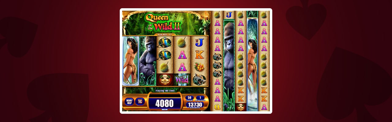 Play queen of the wild slot