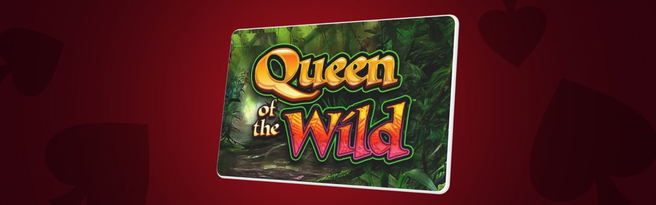 Queen of the wild slot payouts paylines