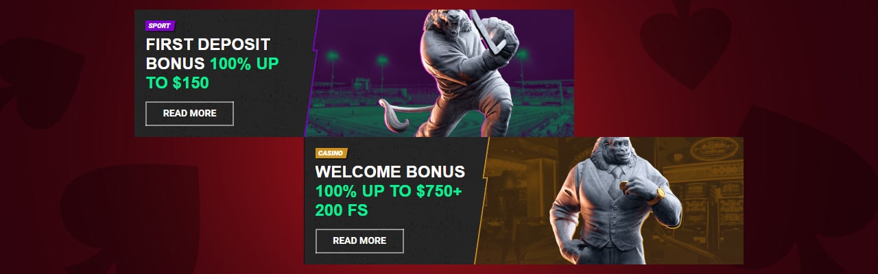 Betinia bonuses