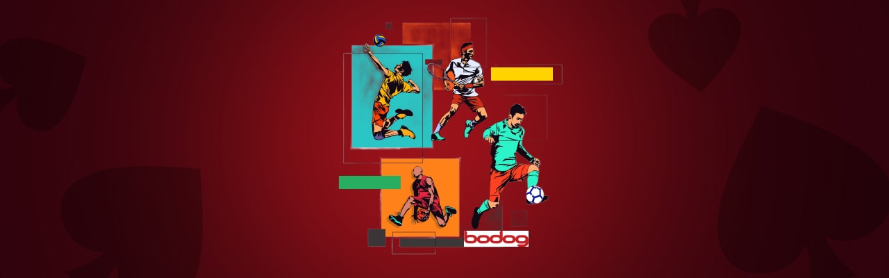 Bodog sports betting