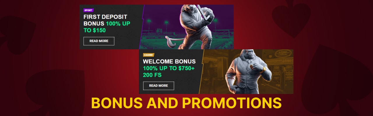 Bonuses and promotions for betinia casino