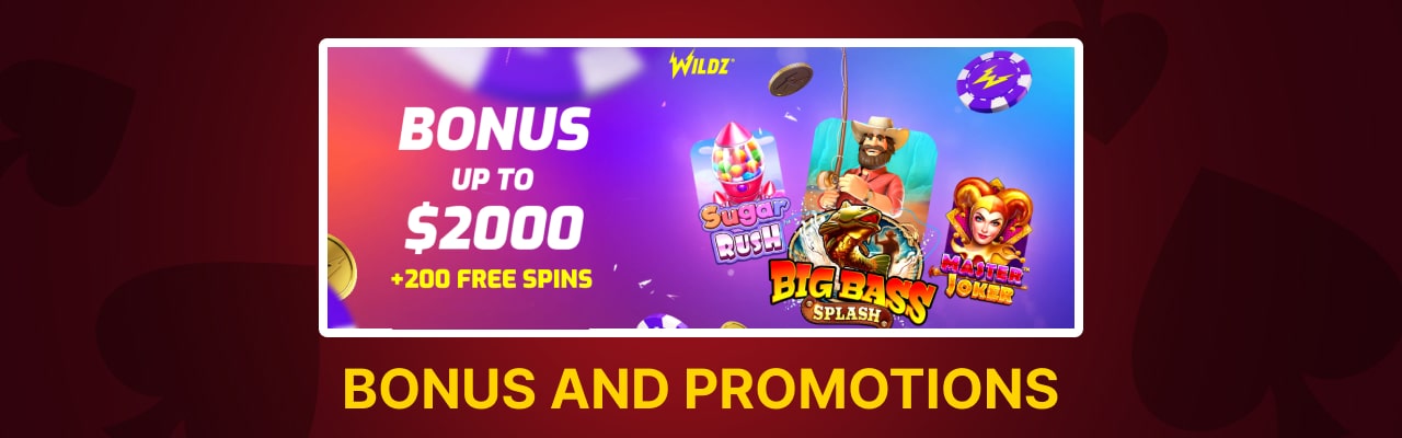 Wildz casino bonuses and promotions