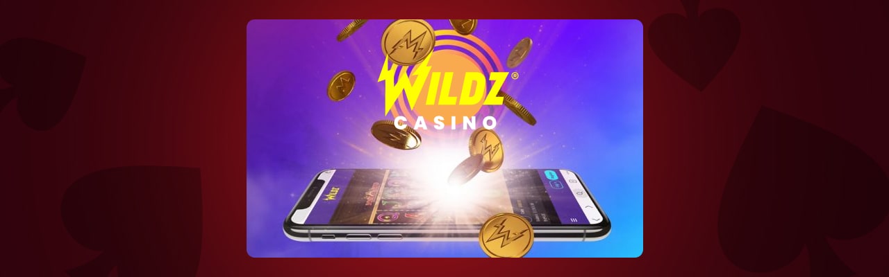 Wildz casino pros cons