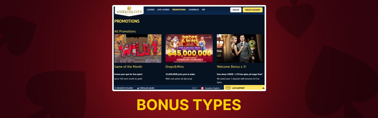 Viggoslots casino bonus types