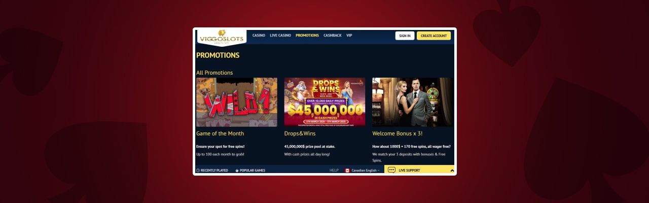 Viggoslots casino bonus types