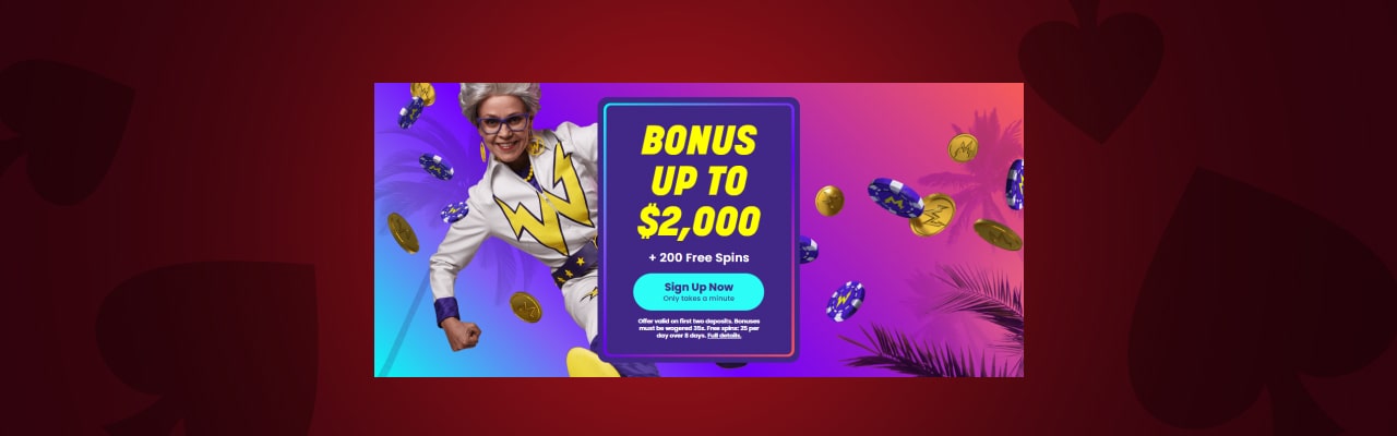 Wildz casino bonus types