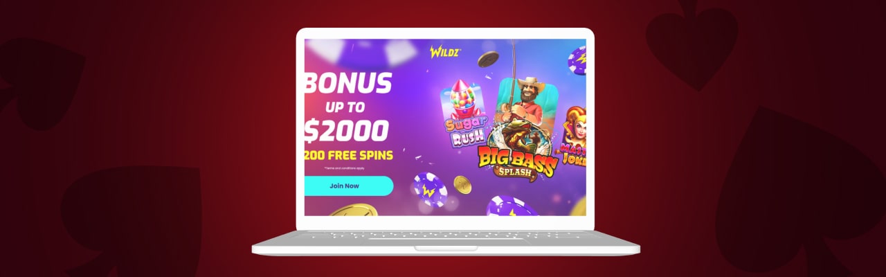 Wildz casino bonuses terms conditions