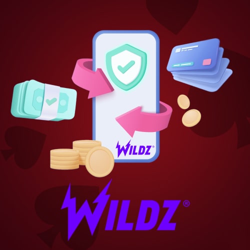 Wildz payment methods