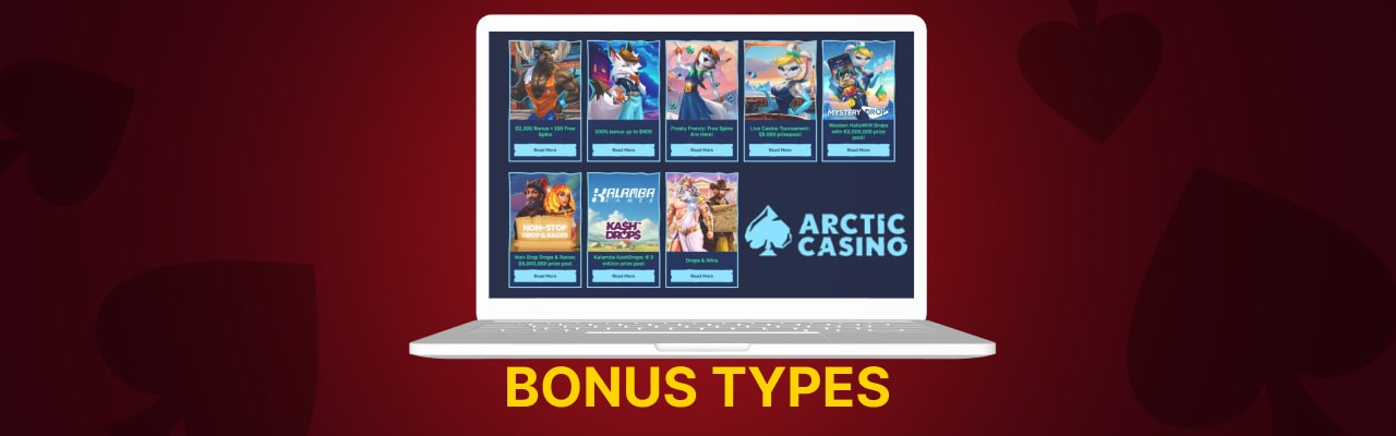 Arctic casino bonus types