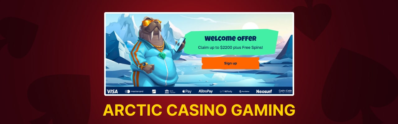 Arctic casino game