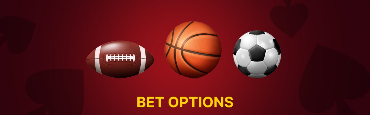 Arctic casino sports bet