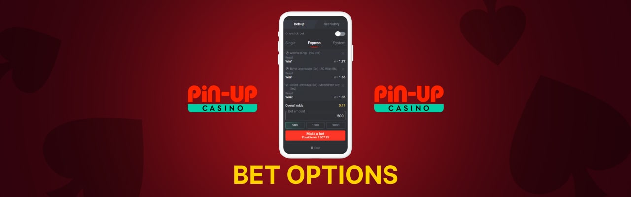 Pin up casino bet options