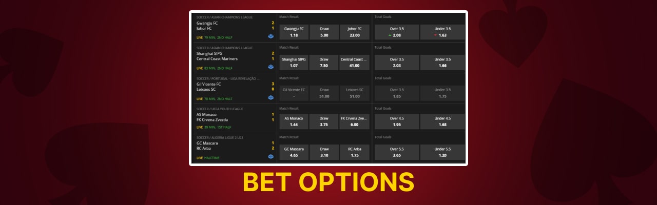 ibet casino bet options